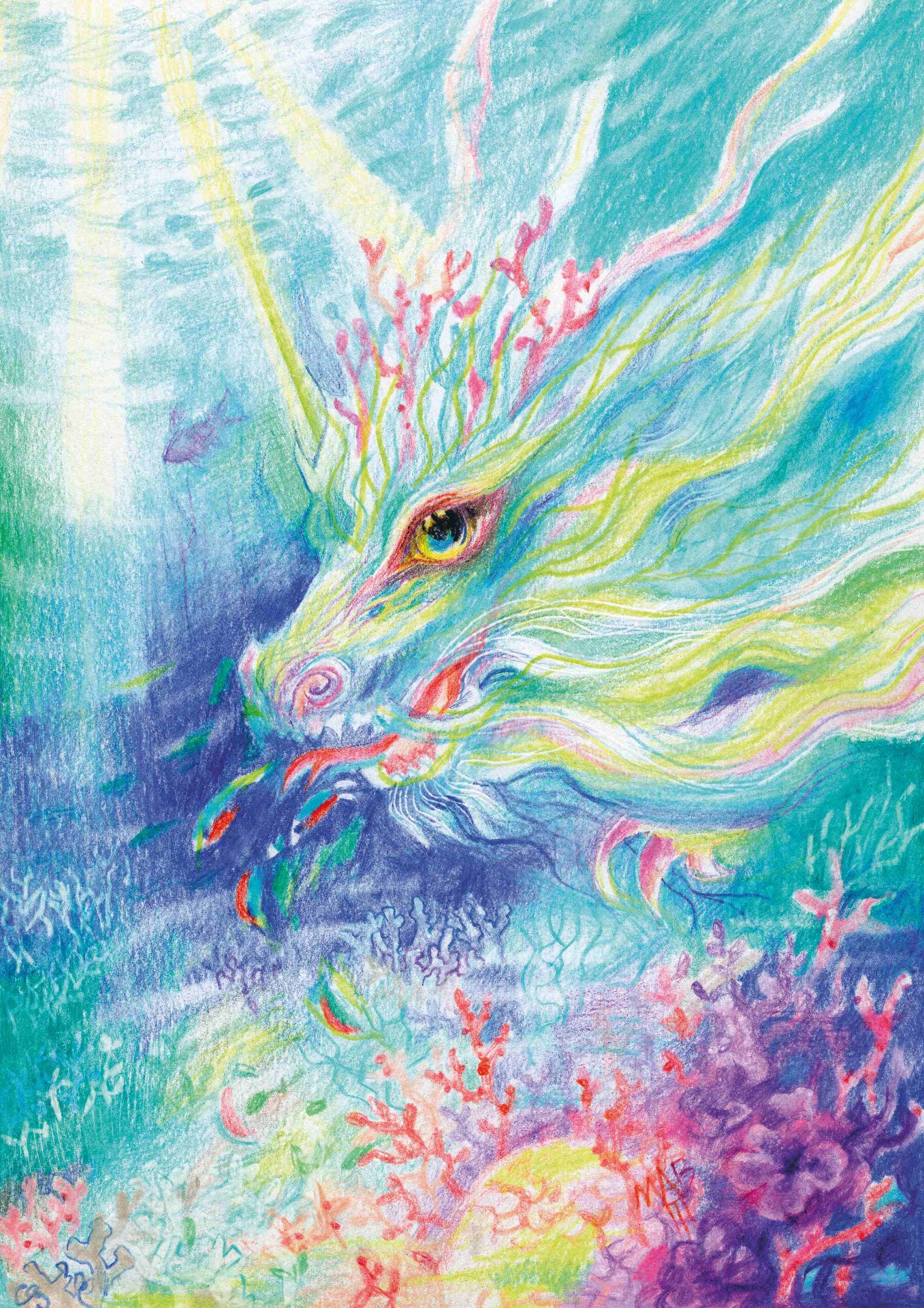 ilustrace Marie Brožová