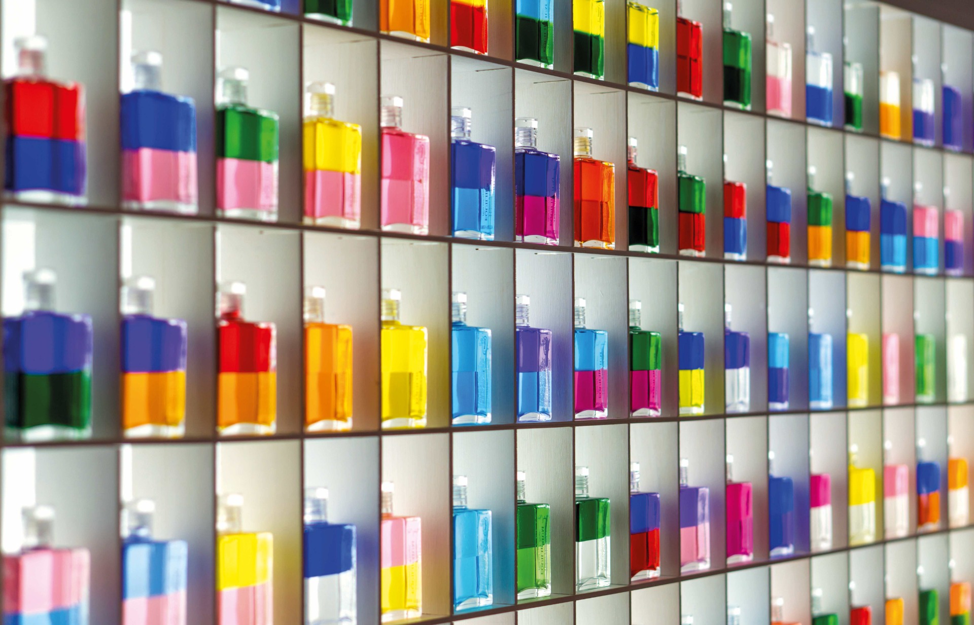 ilustrace Marie Brožová